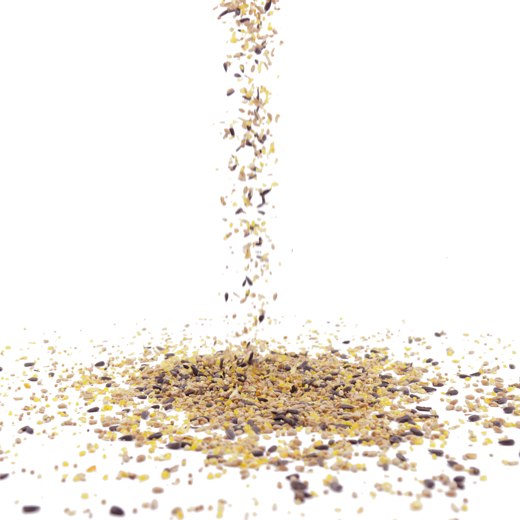 Green+ Streufutter 2,5 kg (biologischer Anbau) | Vogelfutter | CJ Wildlife